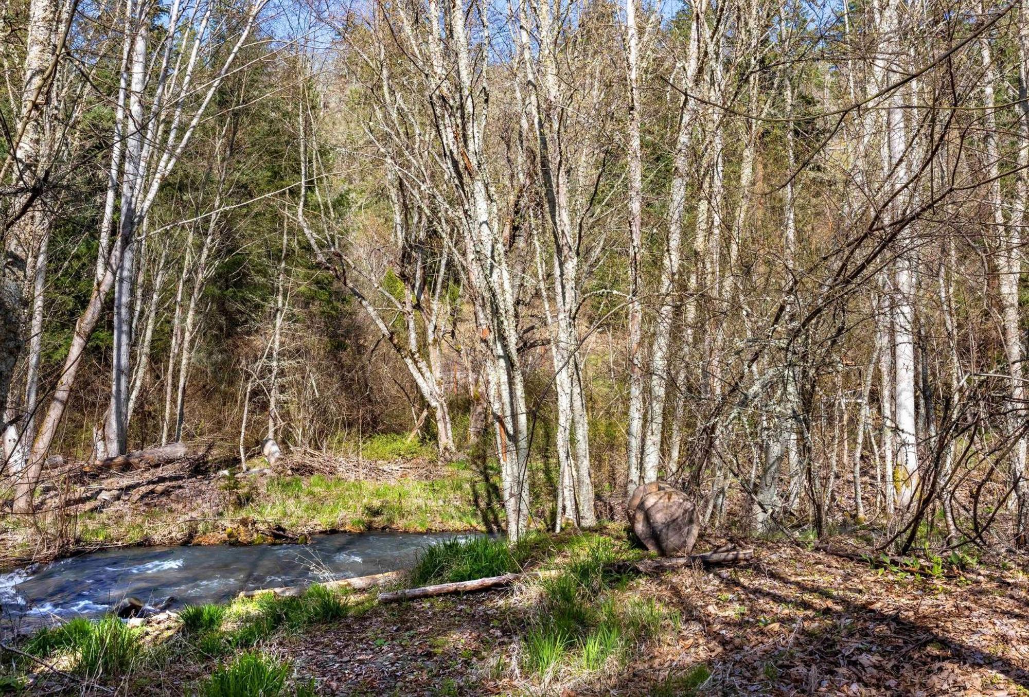 Neal Creek Retreat Villa Mount Hood Buitenkant foto